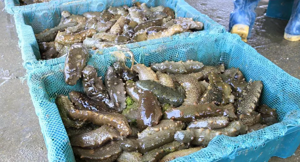 202104301336245170.png 202104301336245170.png