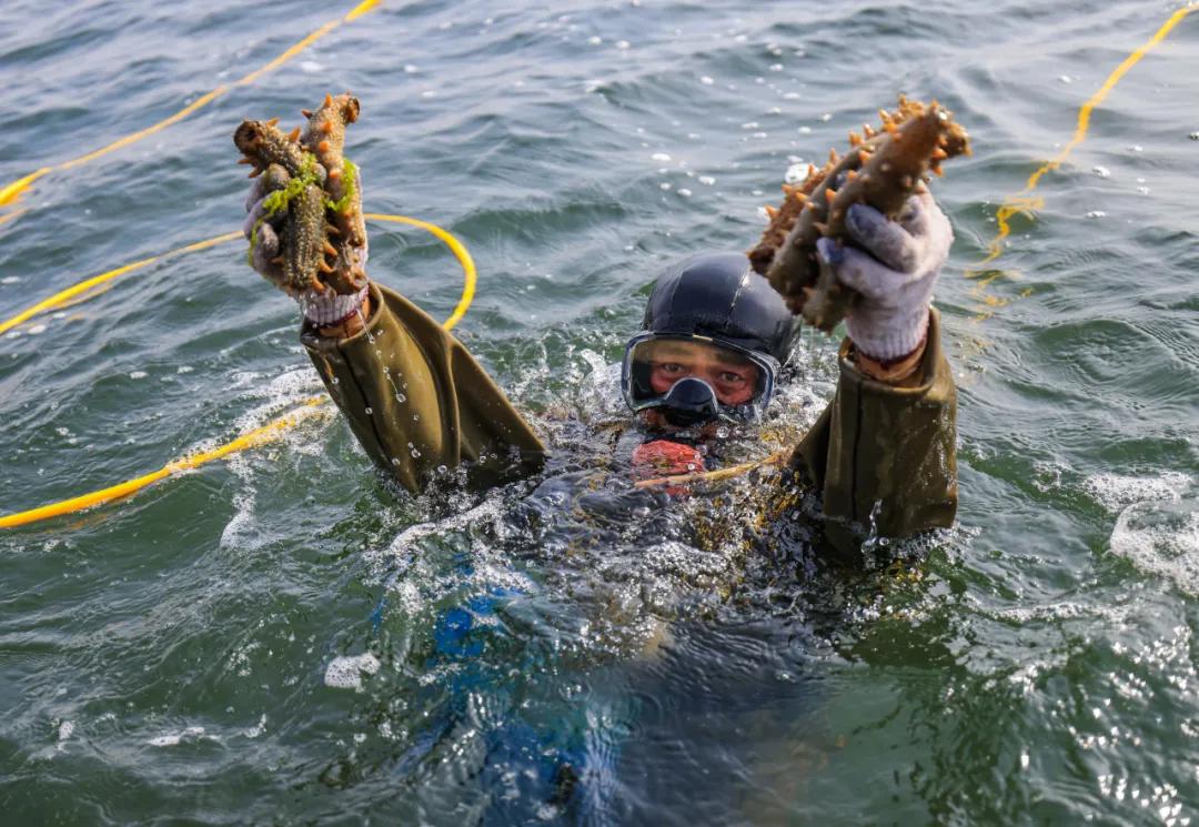 202106261727461702.jpg 202106261727461702.jpg