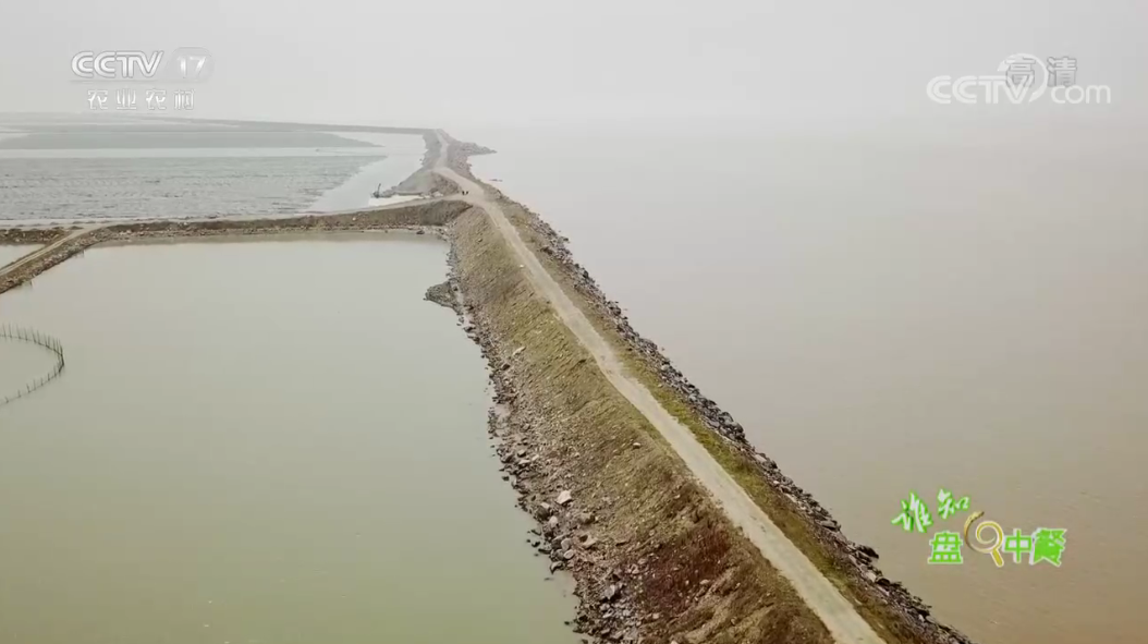 202106261729126879.png 202106261729126879.png