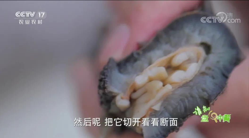 202106261729167283.jpg 202106261729167283.jpg